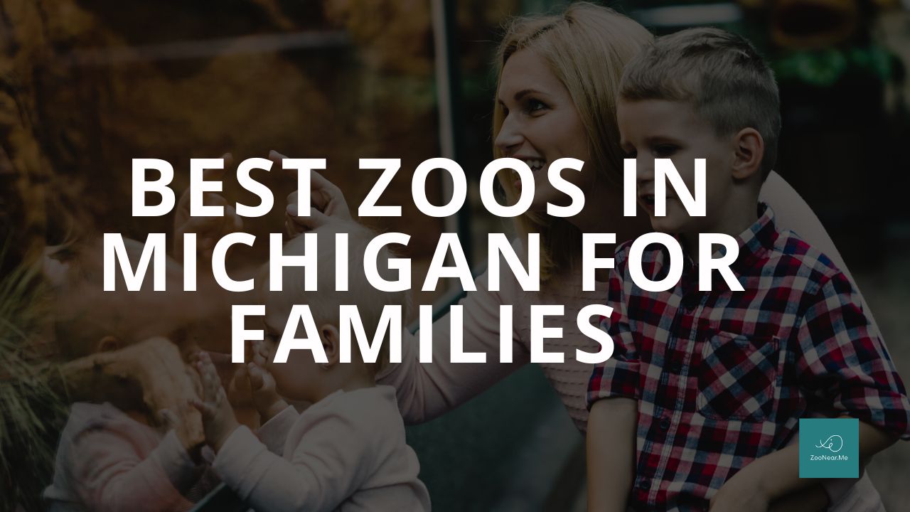 The Best Zoo In Michigan, USA For Families