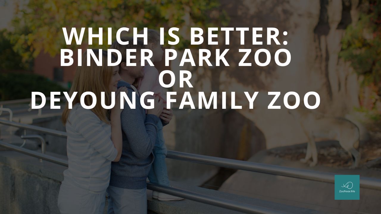 Which Is Best: Binder Park Zoo Or DeYoung Family Zoo. A Guide To Which Is The Best Zoo In Michigan, USA