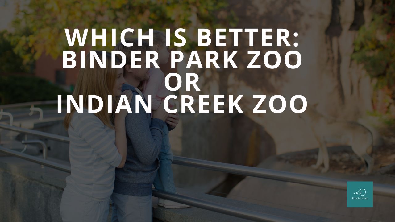 Which Is Best: Binder Park Zoo Or Indian Creek Zoo. A Guide To Which Is The Best Zoo In Michigan, USA