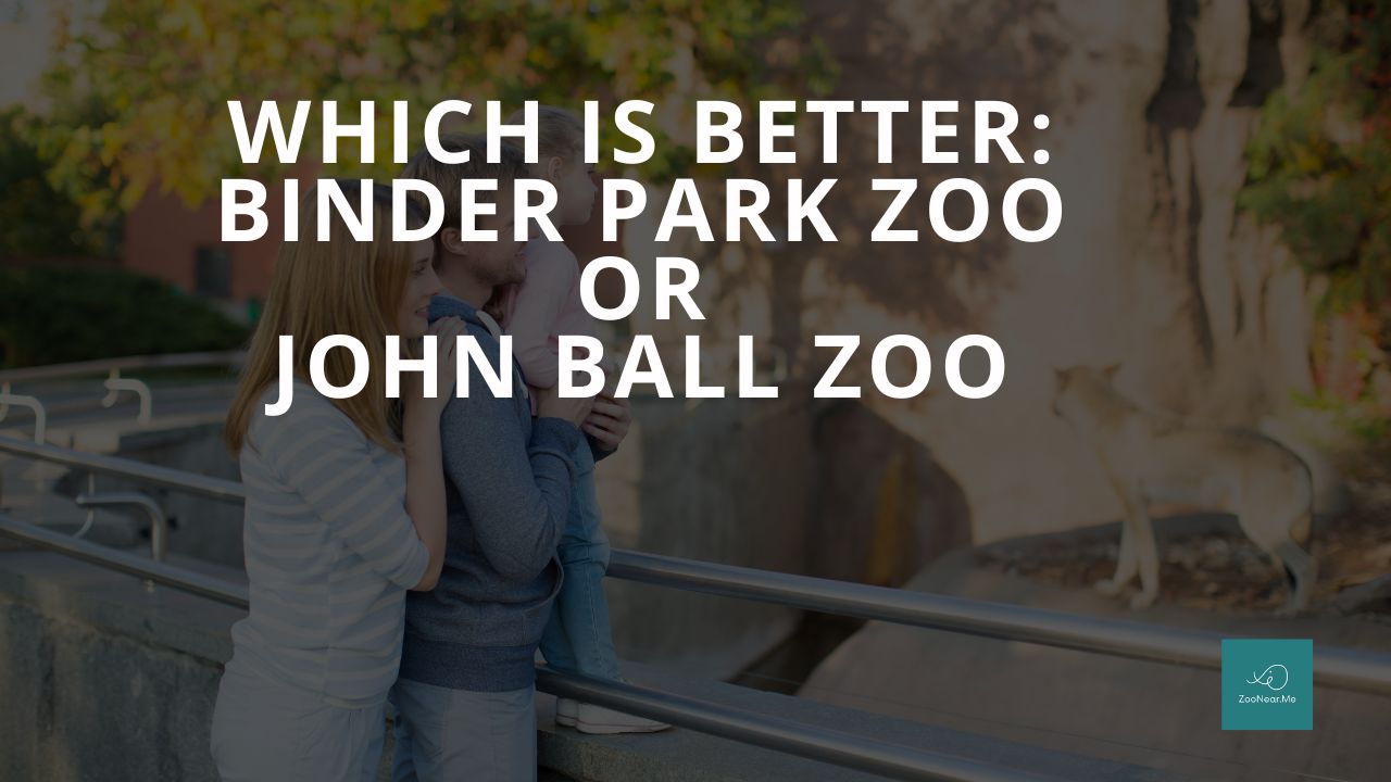 Which Is Best: Binder Park Zoo Or John Ball Zoo. A Guide To Which Is The Best Zoo In Michigan, USA