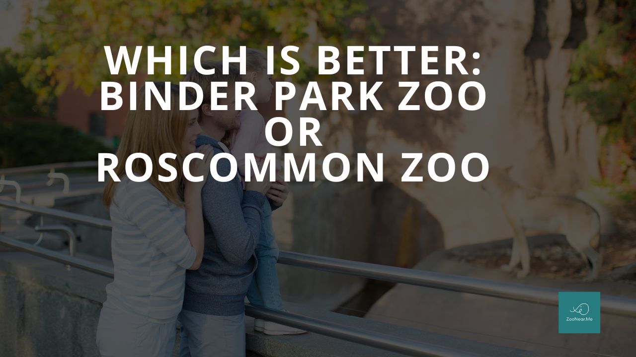 Which Is Best: Binder Park Zoo Or Roscommon Zoo. A Guide To Which Is The Best Zoo In Michigan, USA