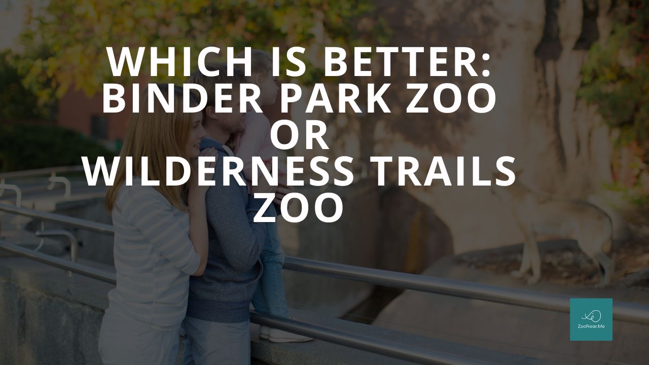 Which Is Best: Binder Park Zoo Or Wilderness Trails Zoo. A Guide To Which Is The Best Zoo In Michigan, USA
