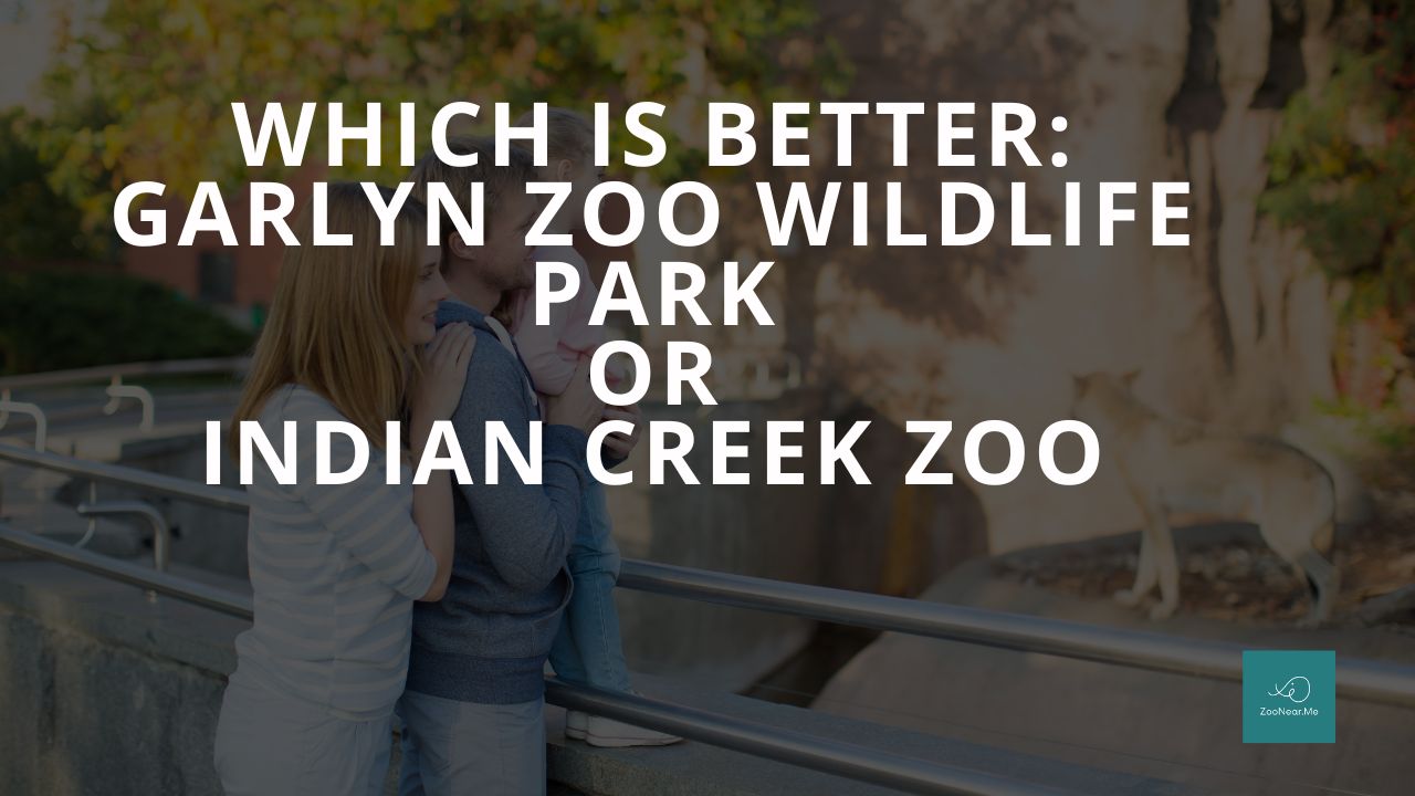Which Is Best: Garlyn Zoo Wildlife Park Or Indian Creek Zoo. A Guide To Which Is The Best Zoo In Michigan, USA