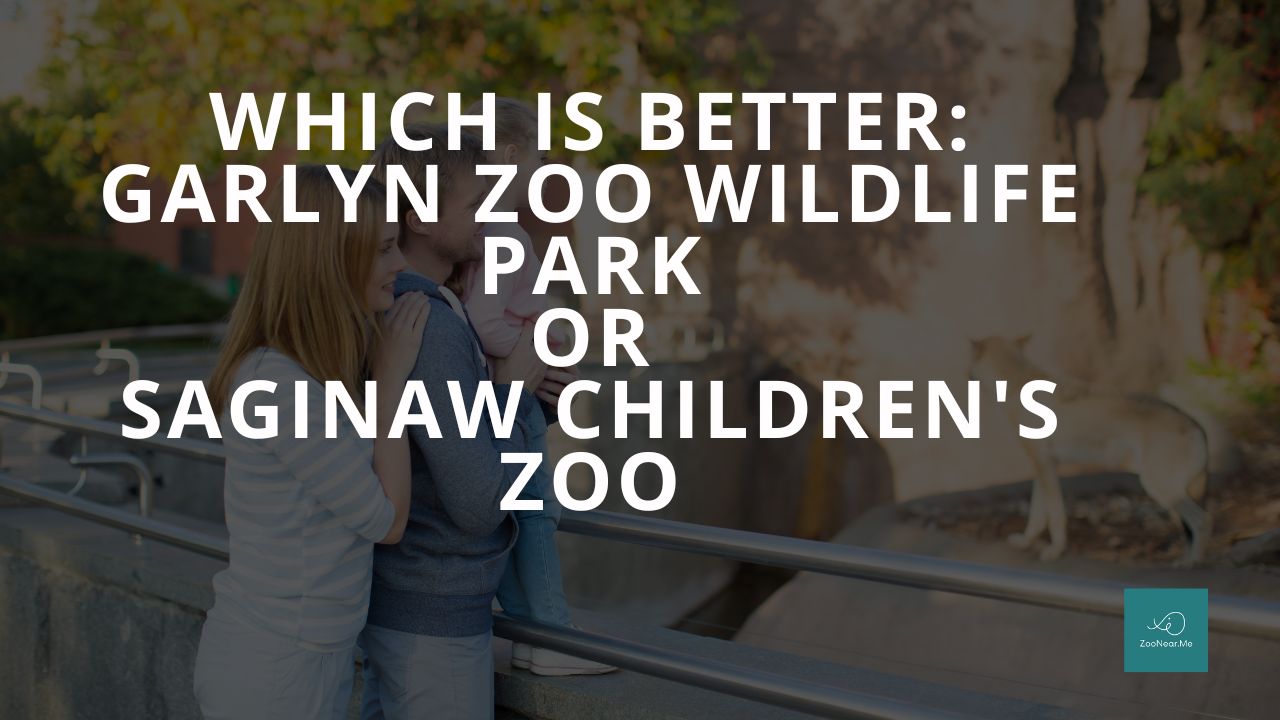 Which Is Best: Garlyn Zoo Wildlife Park Or Saginaw Children's Zoo. A Guide To Which Is The Best Zoo In Michigan, USA