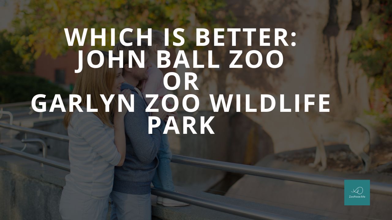 Which Is Best: John Ball Zoo Or Garlyn Zoo Wildlife Park. A Guide To Which Is The Best Zoo In Michigan, USA