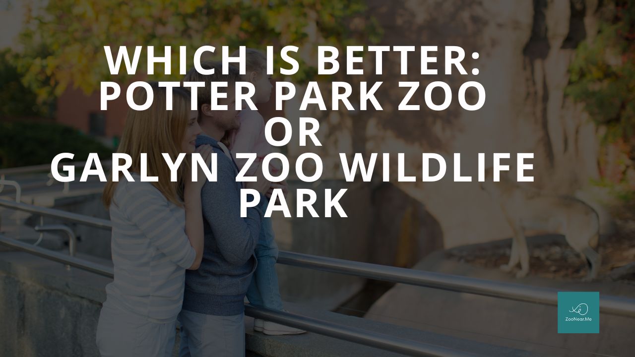 Which Is Best: Potter Park Zoo Or Garlyn Zoo Wildlife Park. A Guide To Which Is The Best Zoo In Michigan, USA