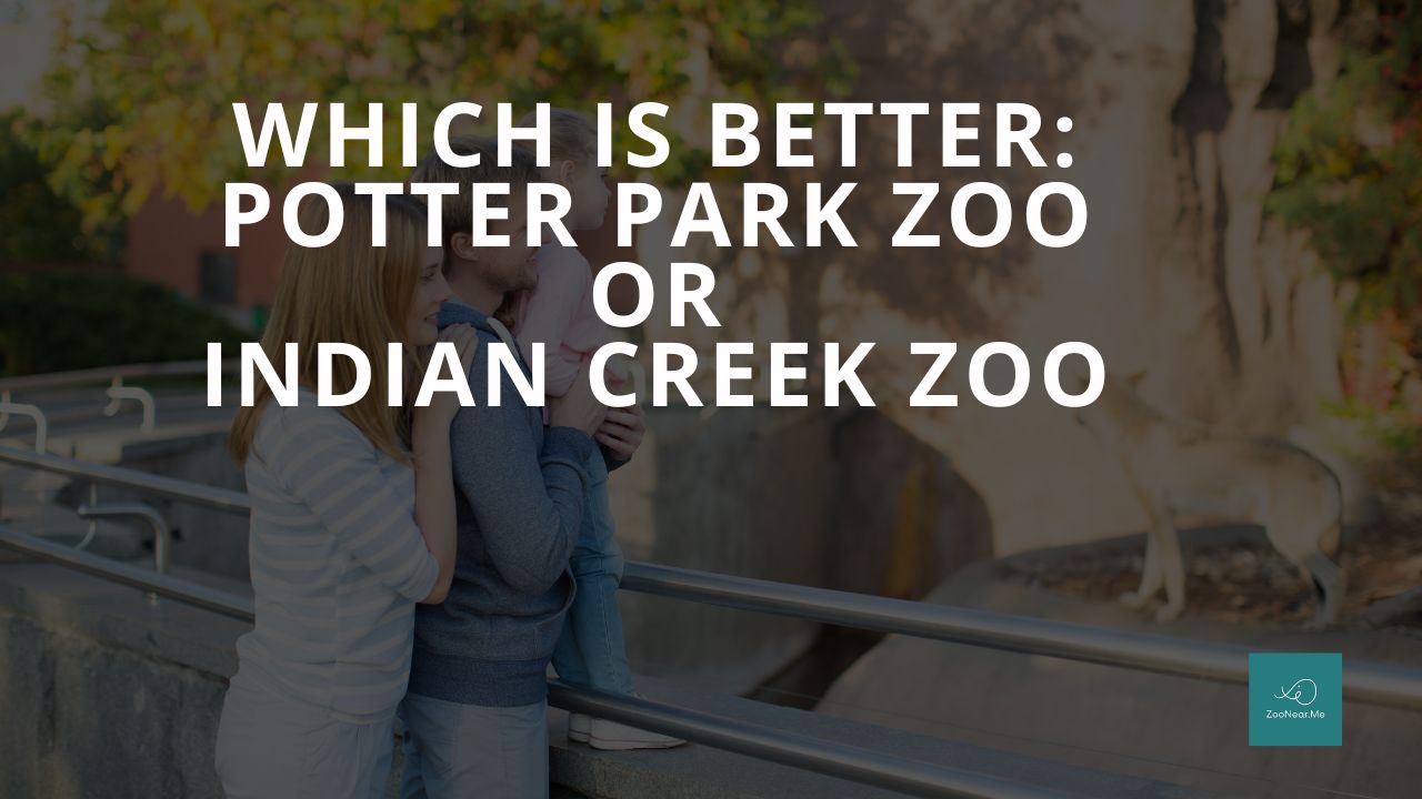 Which Is Best: Potter Park Zoo Or Indian Creek Zoo. A Guide To Which Is The Best Zoo In Michigan, USA