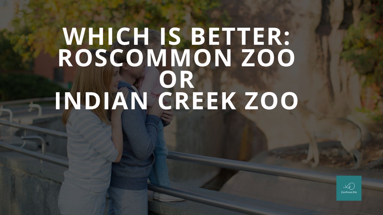 Which Is Best: Roscommon Zoo Or Indian Creek Zoo. A Guide To Which Is The Best Zoo In Michigan, USA