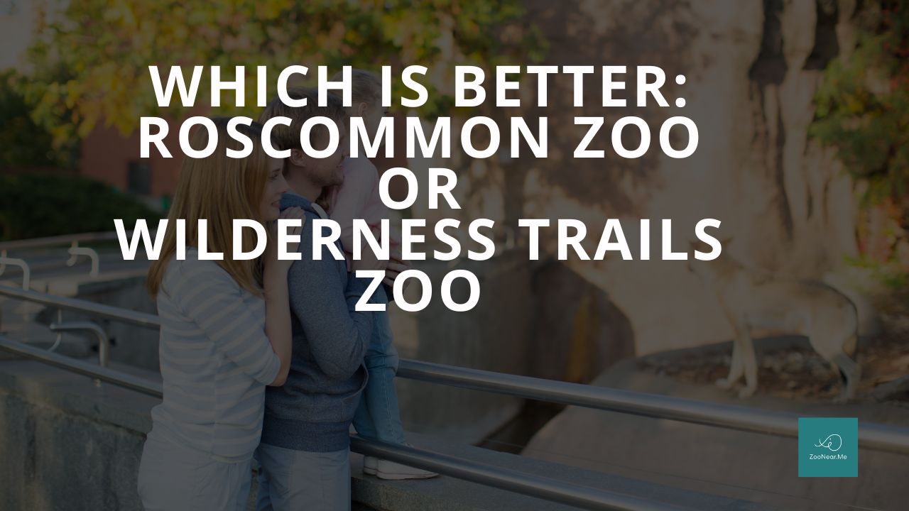 Which Is Best: Roscommon Zoo Or Wilderness Trails Zoo. A Guide To Which Is The Best Zoo In Michigan, USA